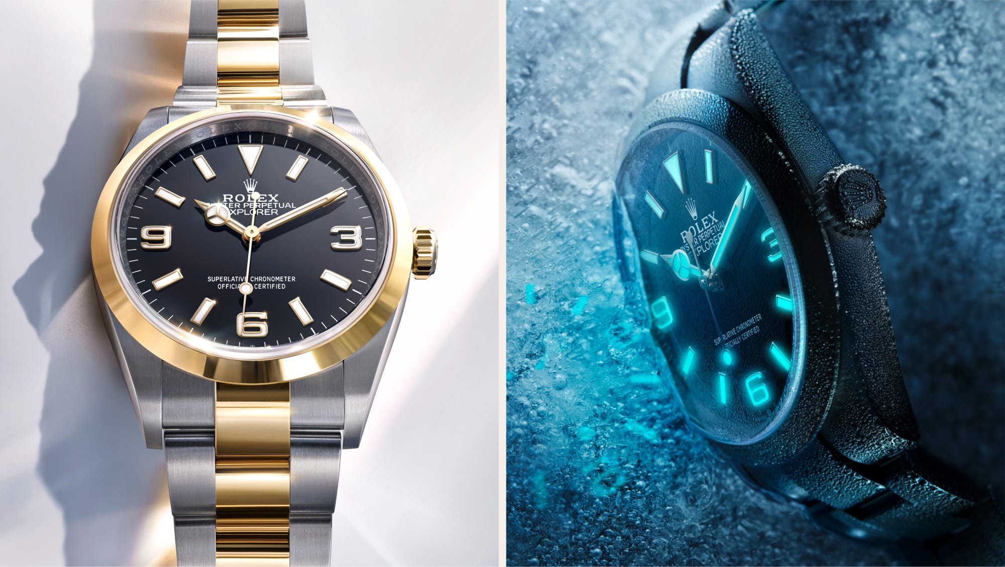 Rolex Explorer Watches | The Red House