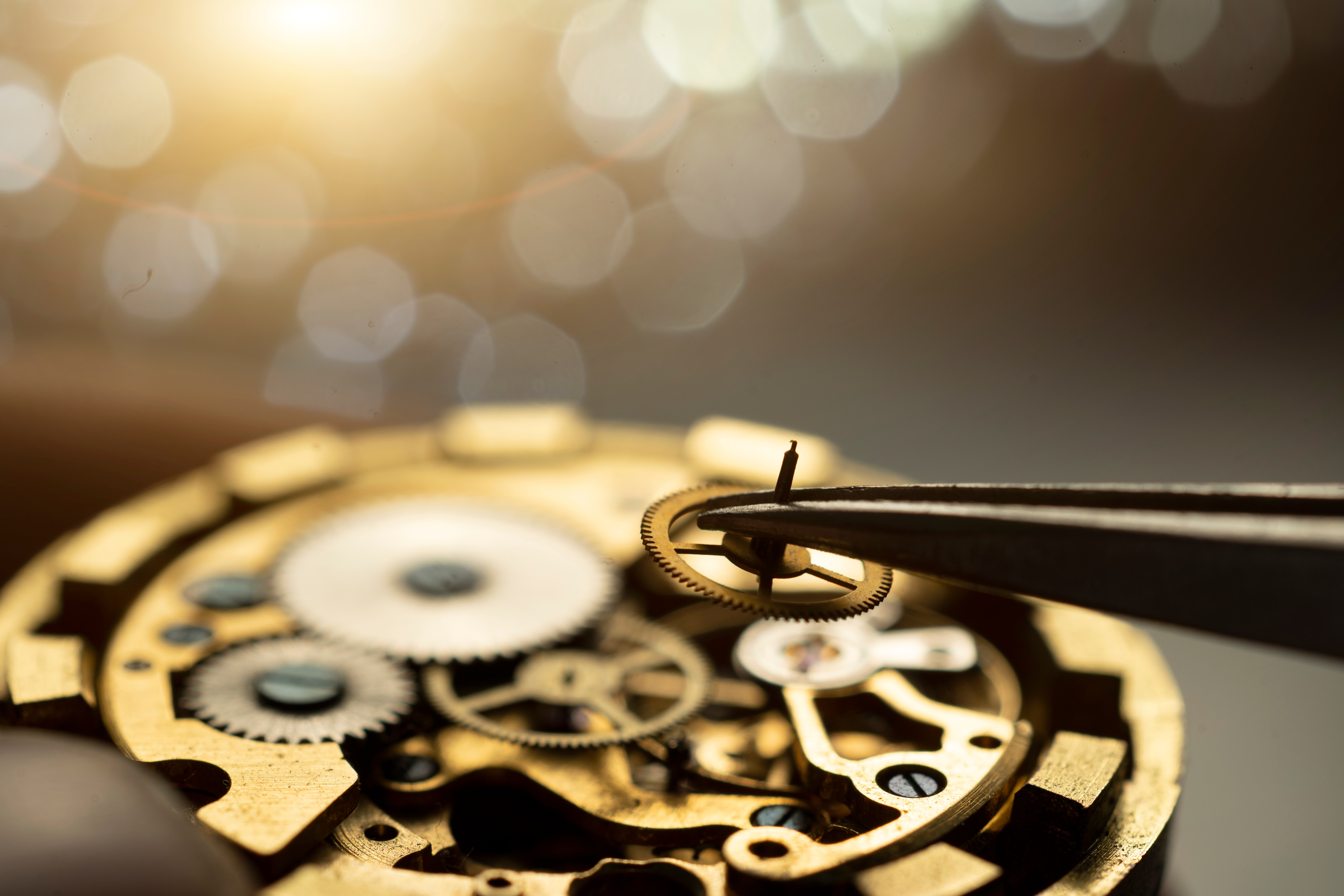 What are the different types of watch movements? What are the different types of watch movements?